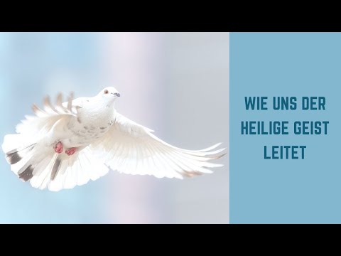 Predigt: Wie uns der Heilige Geist leitet - Johannes 7,37-39 | Joachim Hipfel