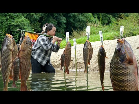 Girl uses bamboo as fishing rod, Meets big fish [ Simple life DH