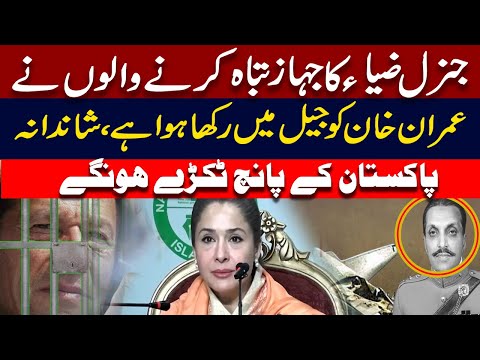 جنرل ضیا کا جہاز تباہ کرنے والوں نے عمران خان کو جیل میں رکھا ہوا ہے، شاندانہ