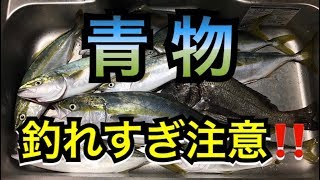 淡路島出身の釣りガール、ユーチューバー　冨士木耶奈