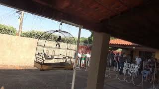 CAMPEONATO ESTADUAL FEBRAPS 2025 - 1a. ETAPA - S. J. DO RIO PRETO - SP - REG 1
