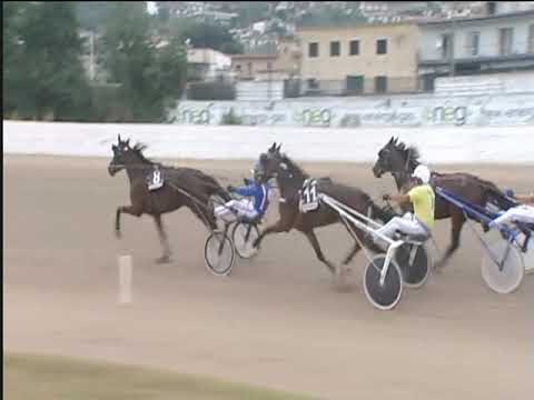 Trotto 21/09/2018 - 6ª corsa