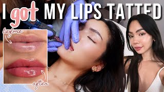 I got a lip blushing tattoo so you don't have to! (pain, cost, & what to expect)