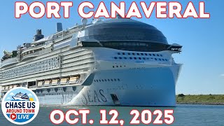 3 Cruise Ships 3 Horns! Star of the Seas, MSC Seashore and Carnival Vista 🎶