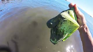 Suprises from the Bay #marinedebris, #garbagepatch