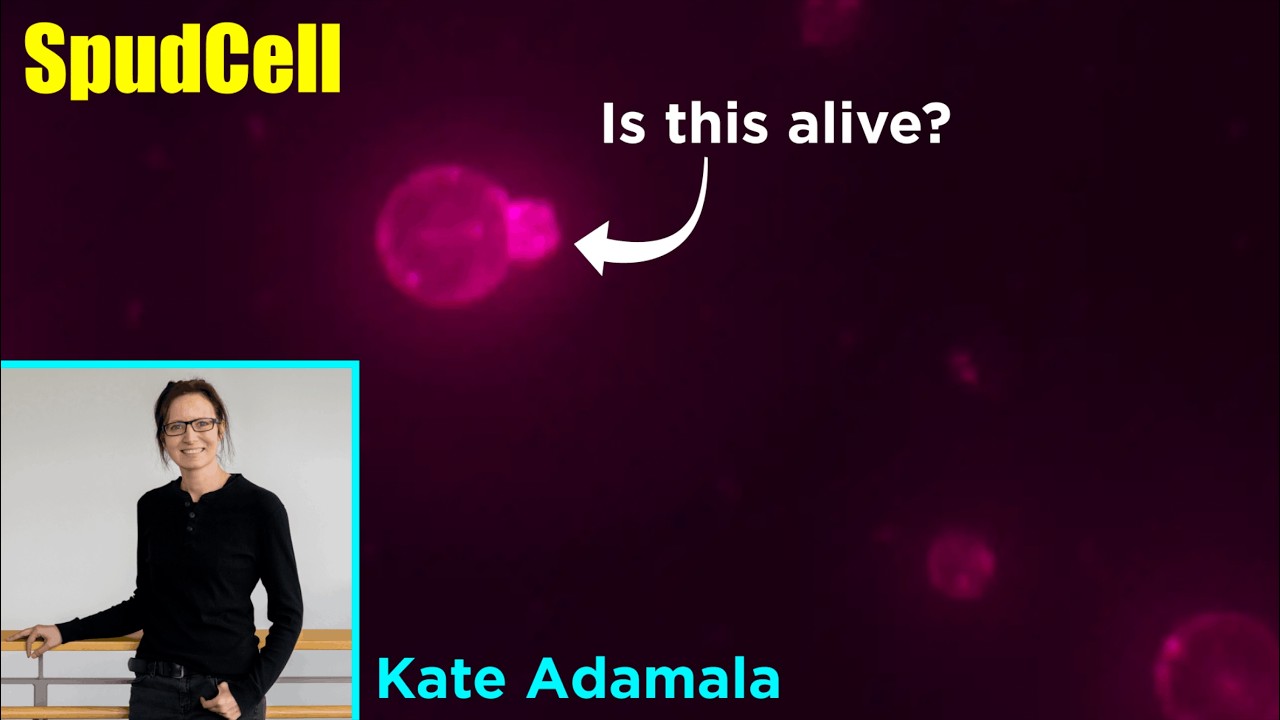 SpudCell: Newest Breakthrough in Synthetic Biology (Featuring Kate Adamala)