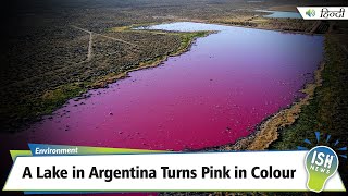 A Lake in Argentina Turns Pink in Colour