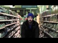 Dan Mangan - Sold 