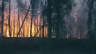 Yung Lean - Forest Fire | Stay down ( Slowed )