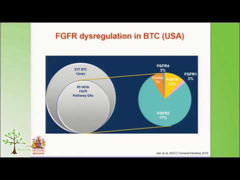 2017 CCF Annual Conference #10 - Day 2 - FGFR Pathway