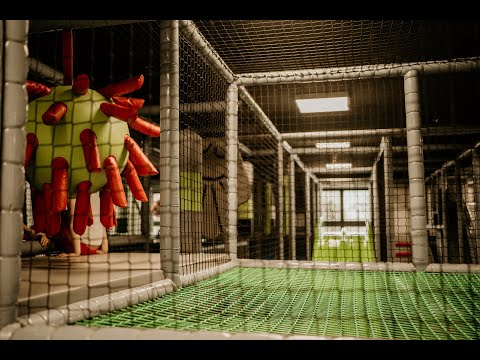 PHU Krystian Bieniek - video