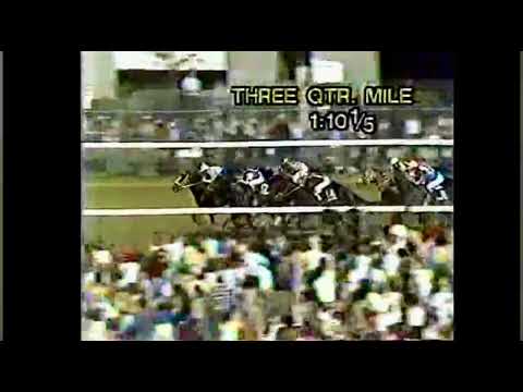 1981 Kentucky Derby | Pleasant Colony Delivers Under Pressure