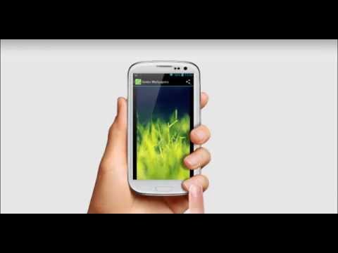 Green Wallpapers Video