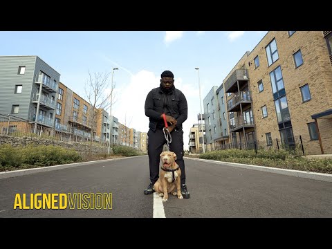 Calmz x Rev J - No Hook 2.0 (Net Video)