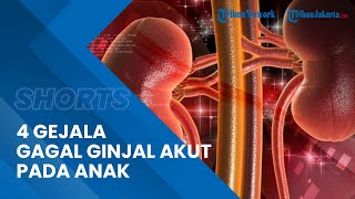 Kenali 4 Gejala Gagal Ginjal Akut Pada Anak, Orangtua Perlu Tahu!