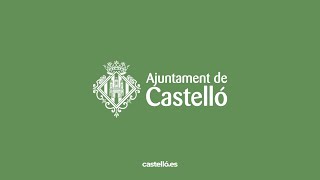 Ple extraordinari de l'Ajuntament de Castelló - 3 de febrer