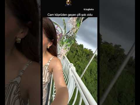 Lan yapay zeka sandım