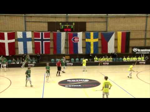 B13 Final 2014: Lillån IBK - Ledbergs IF