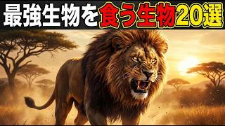 【クリスマス特集第2弾】最強生物を食う生物ランキングTOP20！衝撃の食物連鎖【ゆっくり解説】