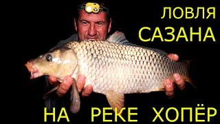 Ловля амура в сентябре на реке хопер