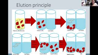 BloodBank Lecture 31  2020