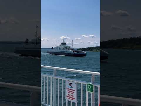 Harbour of Moss #trending #norway #shortvideo #reels #travel #nature #summer #vlog #europe #fyp