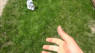 How To Spread Grass Seed With Your Hand (No Tools Needed)