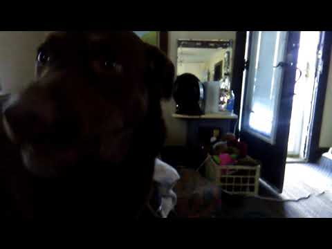 Mmmoooommmm he won't let me look