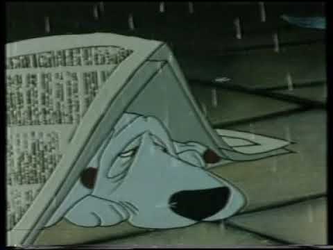 anuncio,Perro Tristón, que solo quiere un amiguito,RECUERDOS,RETRO,NOSTALGIA,PUBLICIDAD DE LOS 80´S