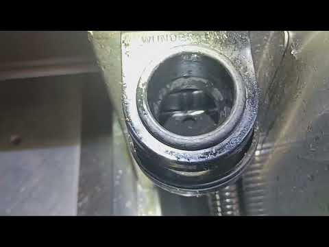 Fruit Flies Thriving in the Soda Gun Holder in Ocean Grove, NJ