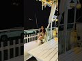 Shivali Thakur New Instagram Reel