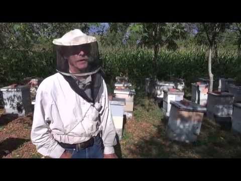 Michael Palmer - Importance of Getting Local Queens