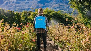 Matabi e10 LT & e15 LT – Pulvérisateurs Électriques Compacts et Performants 🌿🔋