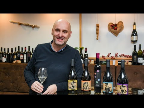 Promocija vina Apolitico bivšeg ministra Tolušića