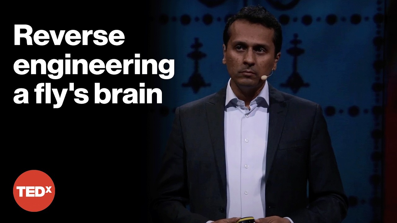 How flies can help us build better robots and AI | Pavan Ramdya | TEDxArendal