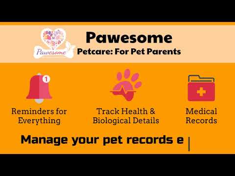 Pawesome , Pet Care Solution