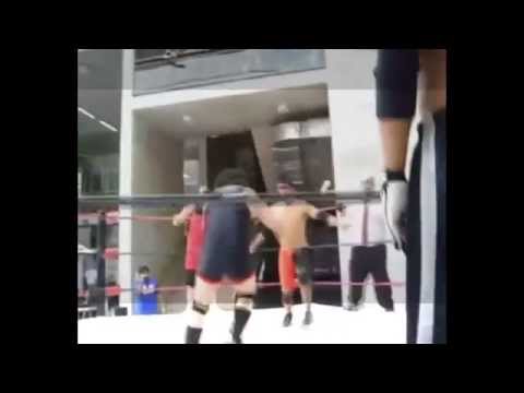 Taylor Wolf Atlas 2009 2010 mv