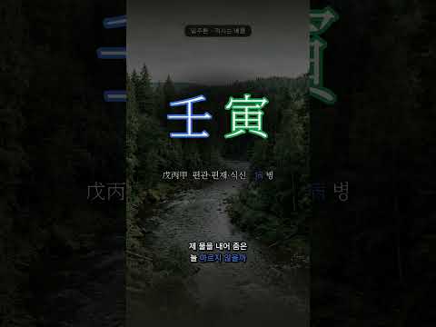 숲을 적시는 강물 | 임인(壬寅) 일주