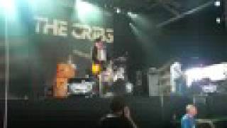 Our bovine Public - The Cribs @ Pukkelpop 2008