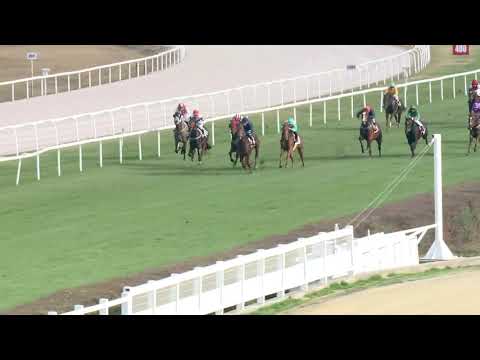 2019.11.03. 03. futam - SOUL RACING DÍJ - NYERETLEN KÉTÉVESEK VERSENYE (IV.kat.)