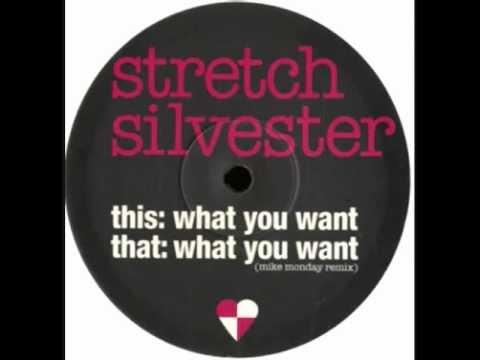 Stretch Silvester - What You Want (Original Mix) [Playtime 2005]