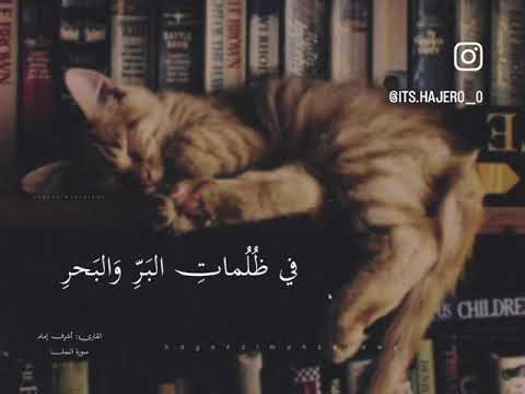 3 ديسمبر، 2025