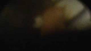 Stars Of The Lid-Requiem For Dying Mothers