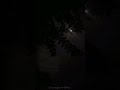 Romantic Midnight Lofi Gramophone Bites Indianlofi Lofivibes Feel The Music Feel The Love