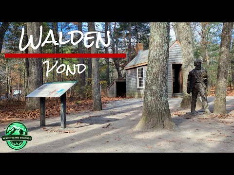 Walden Pond & Thoreau Cabin Recreated  S01E16 #WaldenPond #HenryDavidThoreau #AuthorsRidge