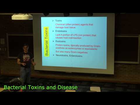Bacterial Toxins