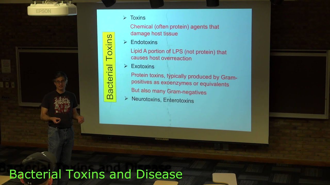 Bacterial Toxins