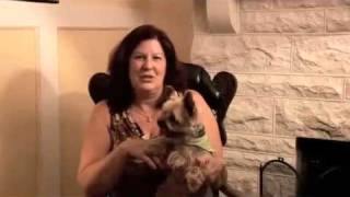 aussie pet mobile.mp4