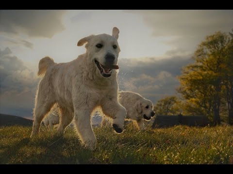 "Warm up Camp" ZAMPANZAR team....