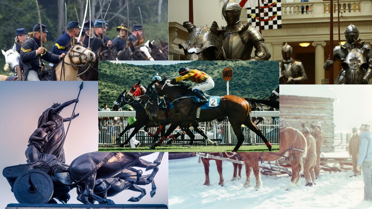 Equine Domestication: The Seminal Impact of Horse Taming on Human Civilisation